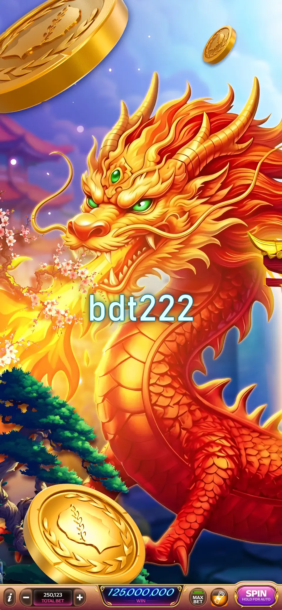 bdt222 লগইন